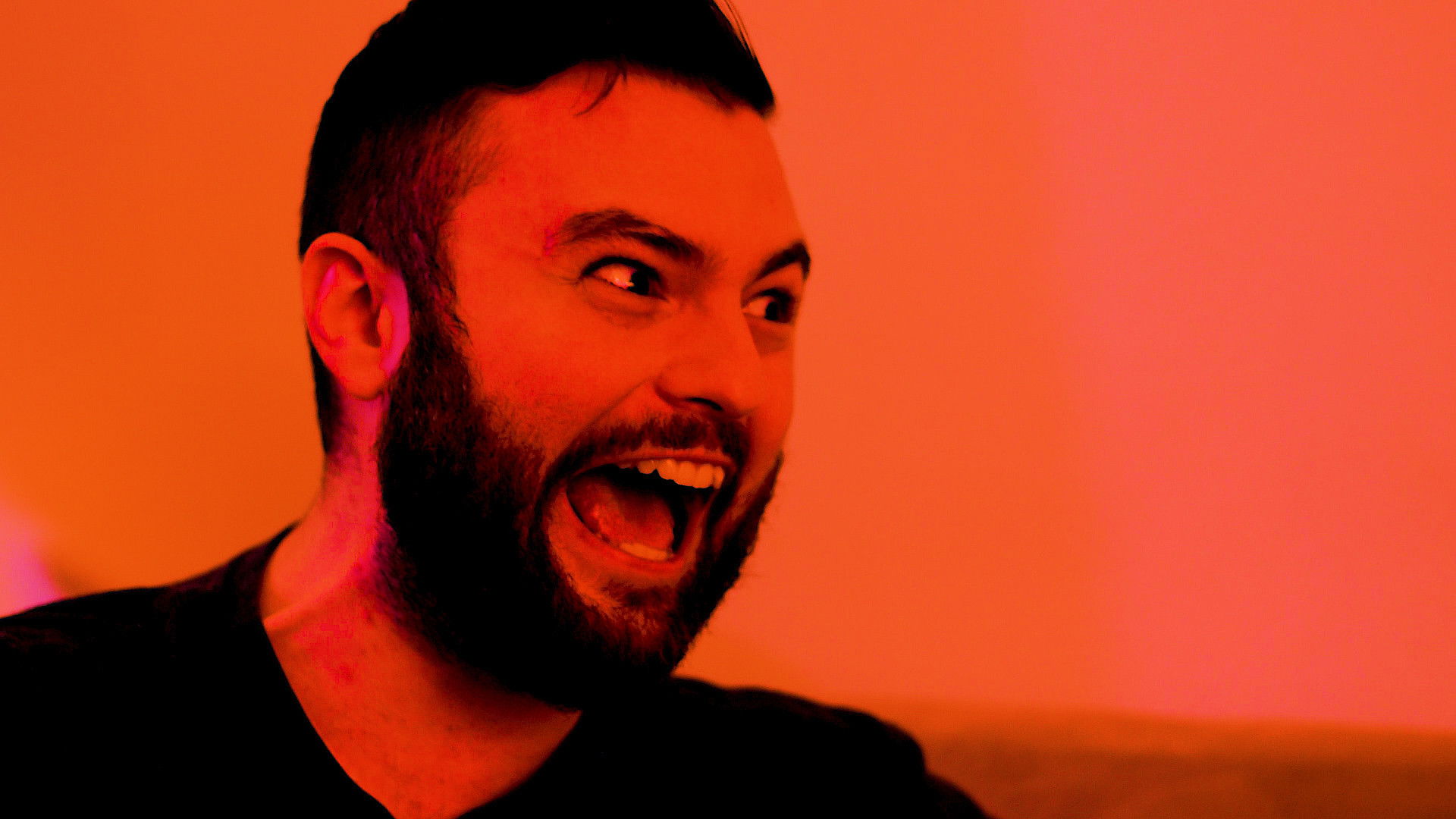 Backdrop for Settle the Score