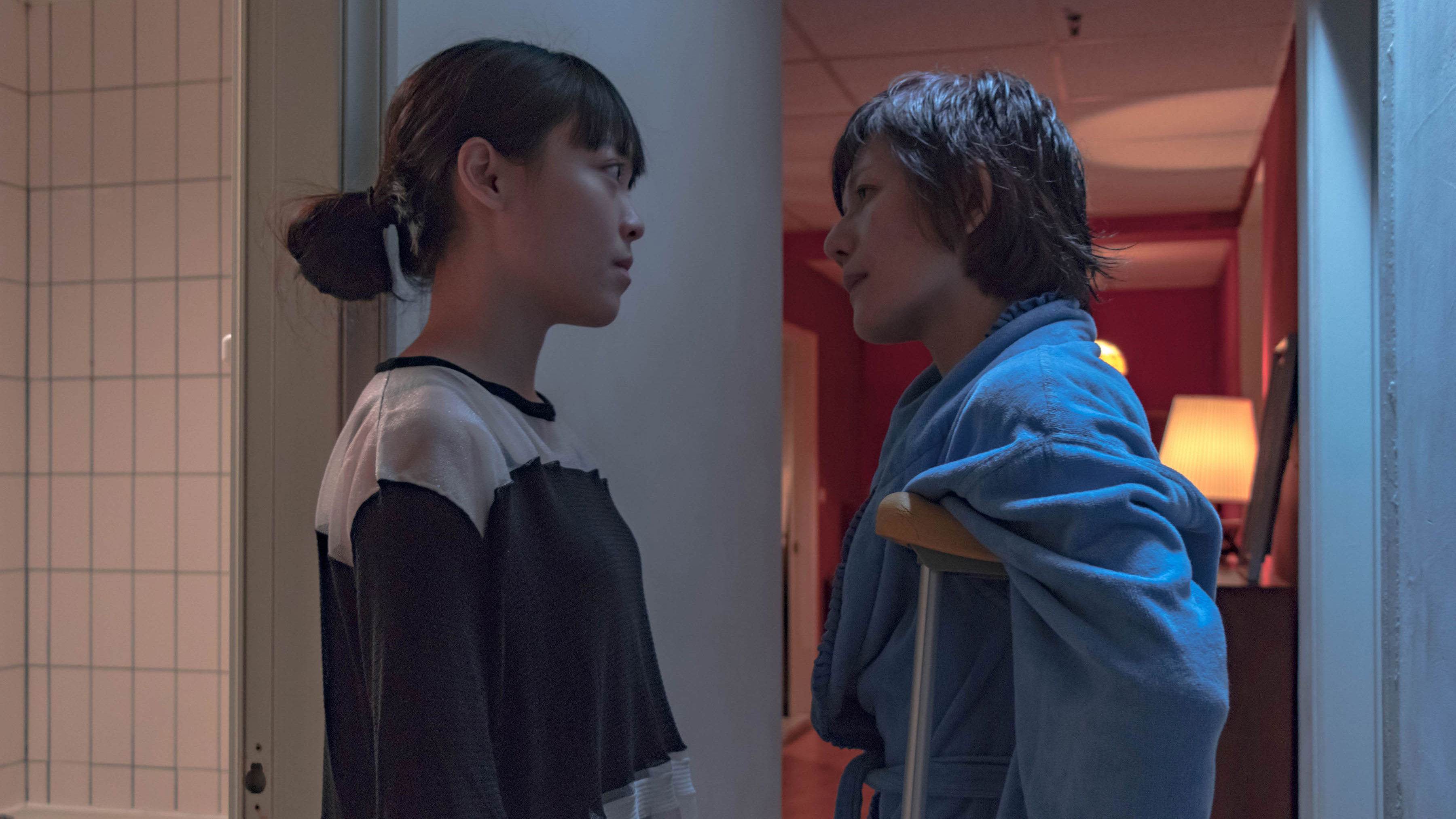 Backdrop for The Gaze