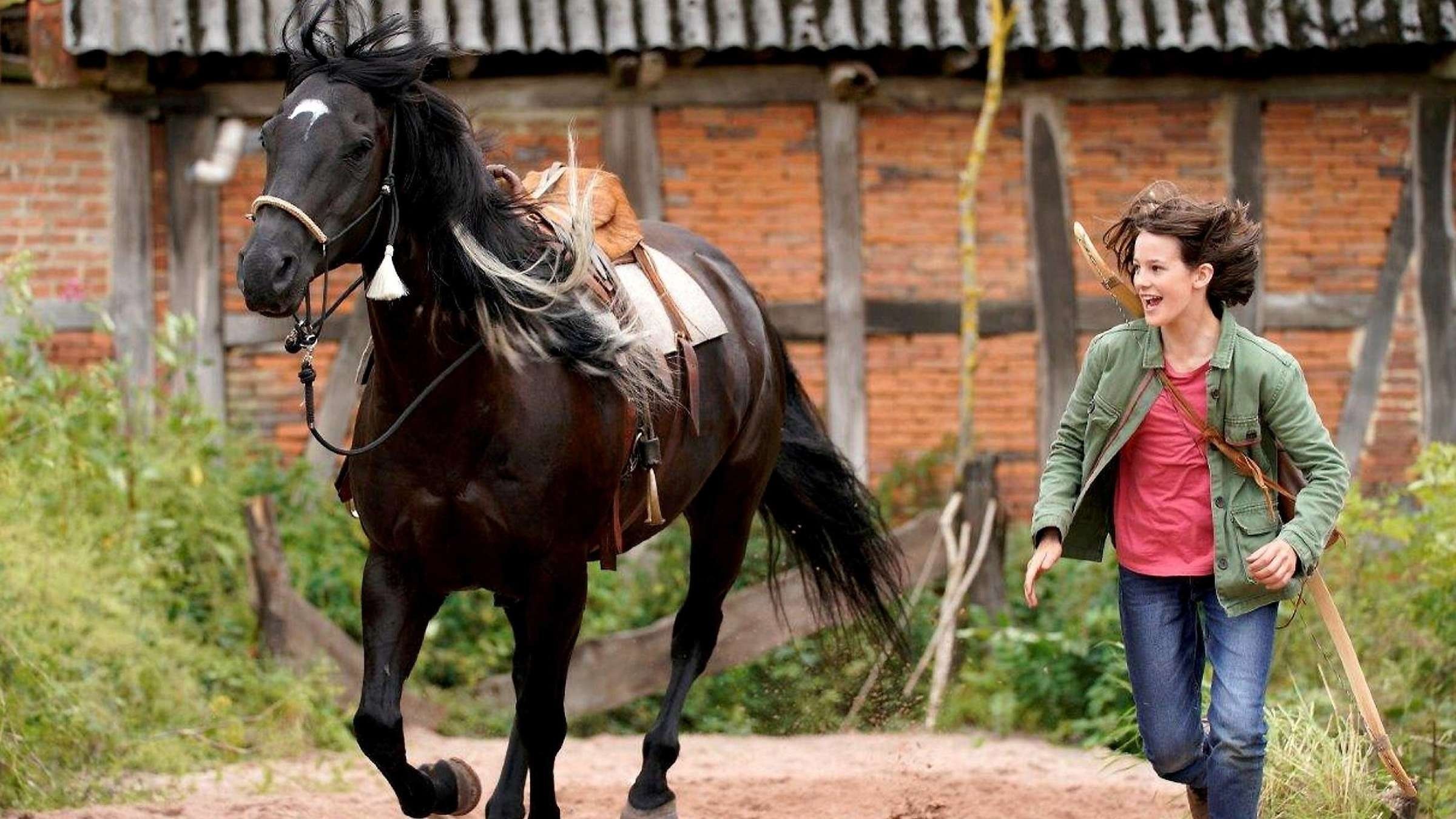 Backdrop for Windstorm: The Great Hurricane