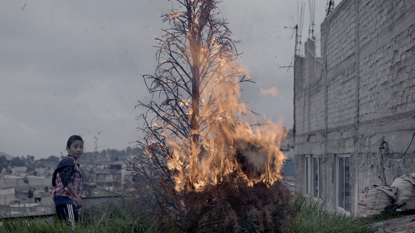 Backdrop for Fisuras