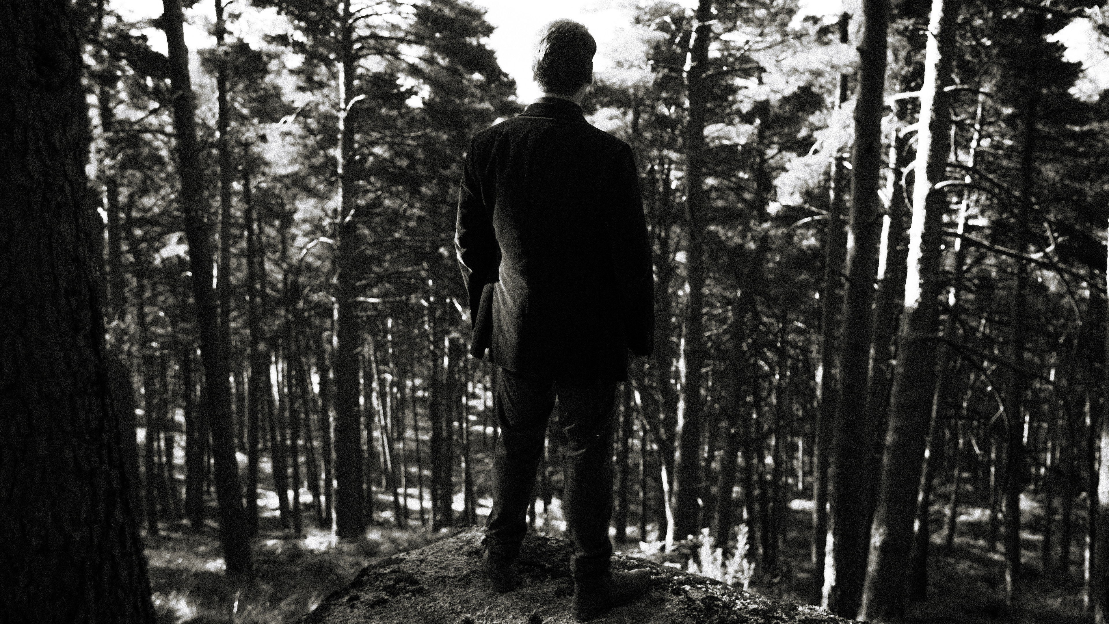 Backdrop for La Güestia