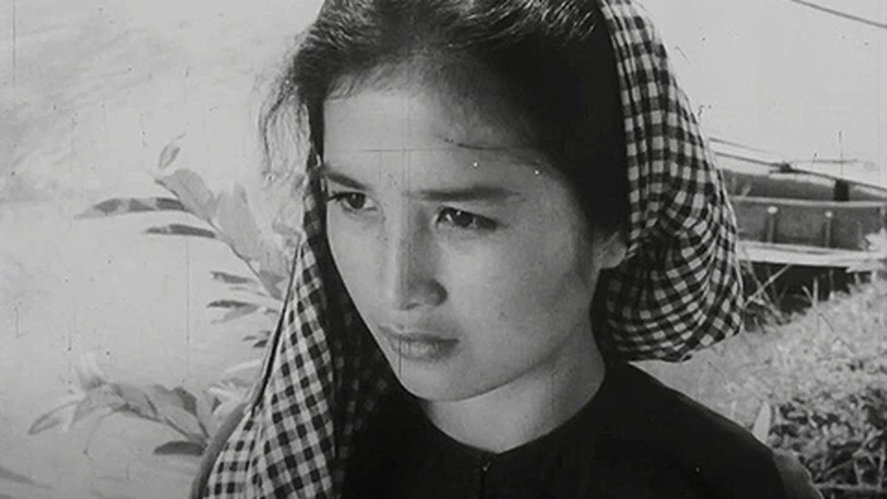 Backdrop for Mrs. Tư Hậu