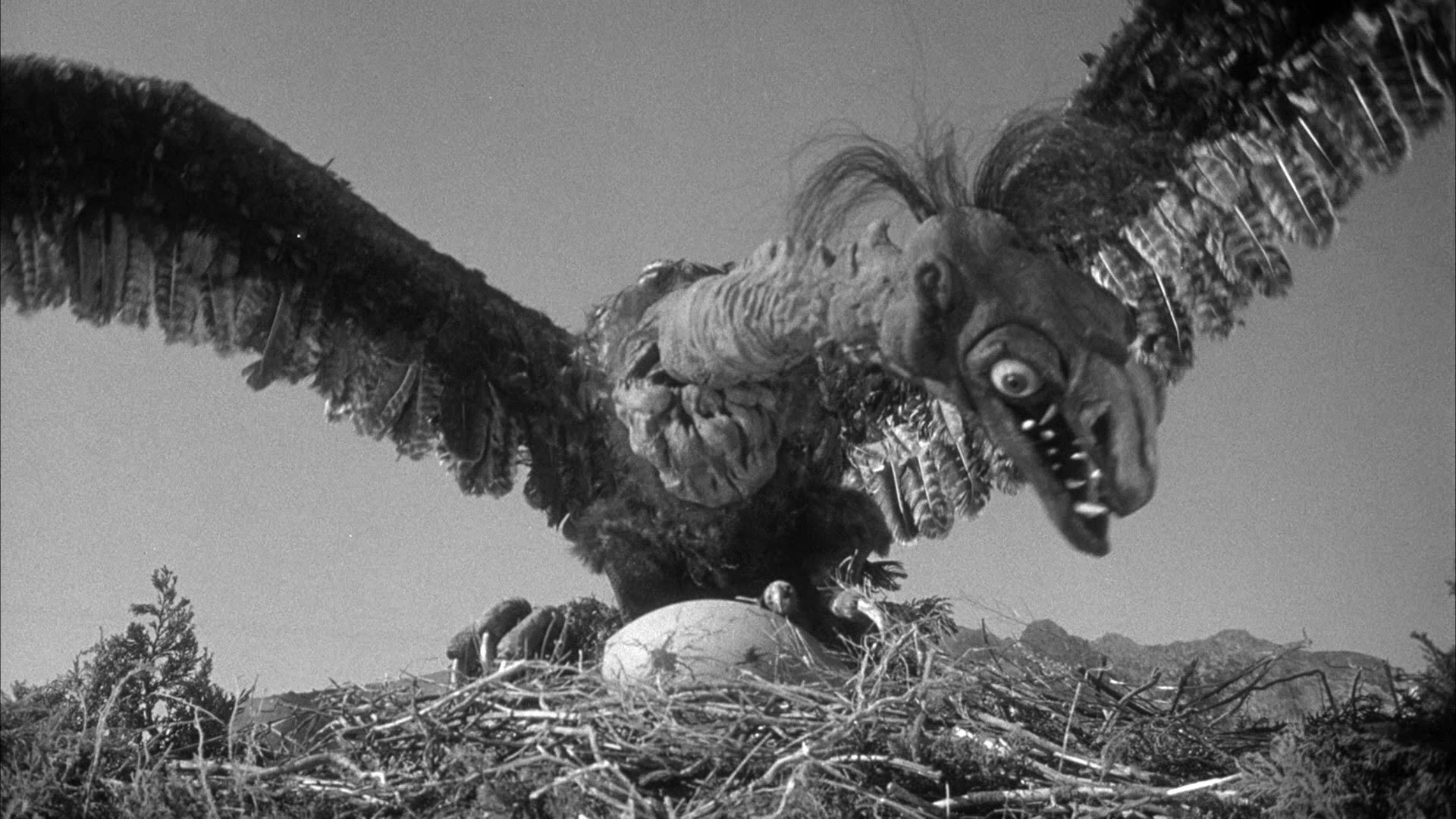 Backdrop for The Giant Claw