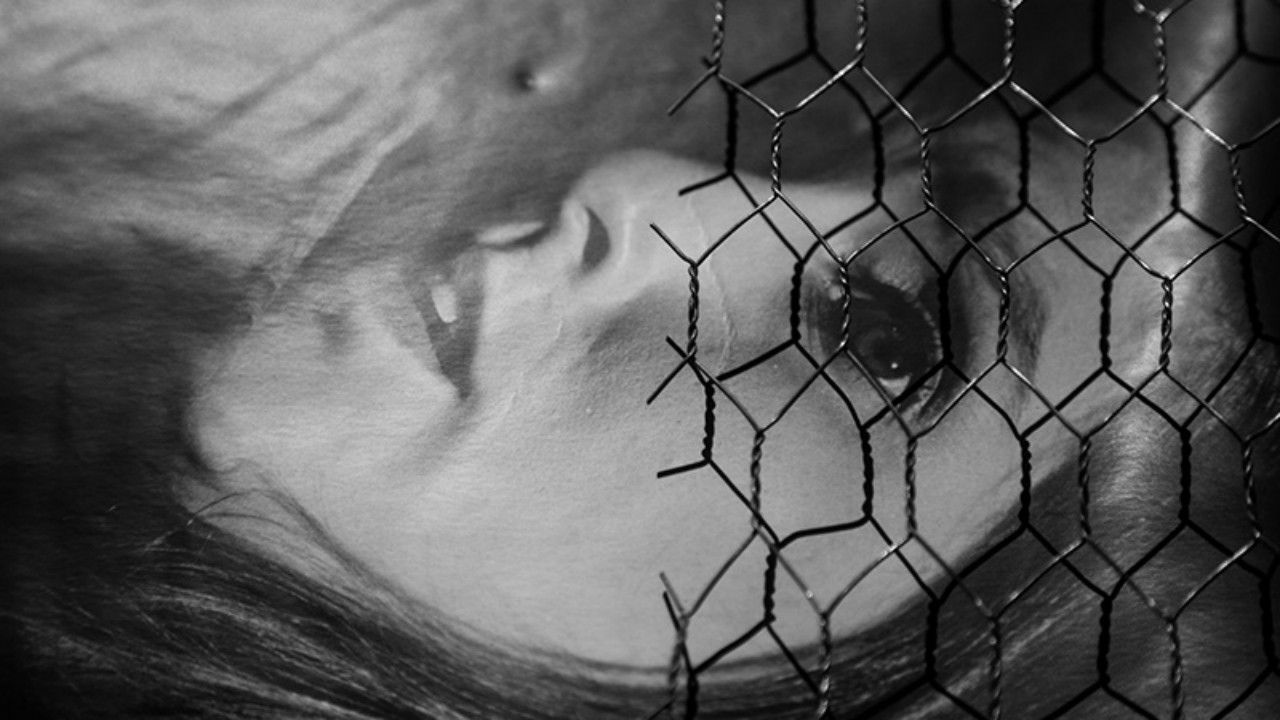 Backdrop for Songbird