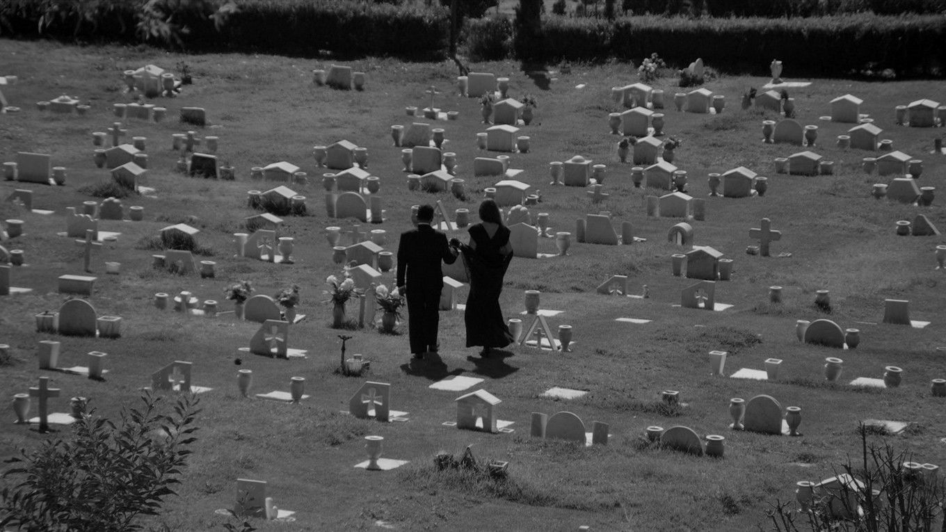 Backdrop for The Charming Mr. Brambila