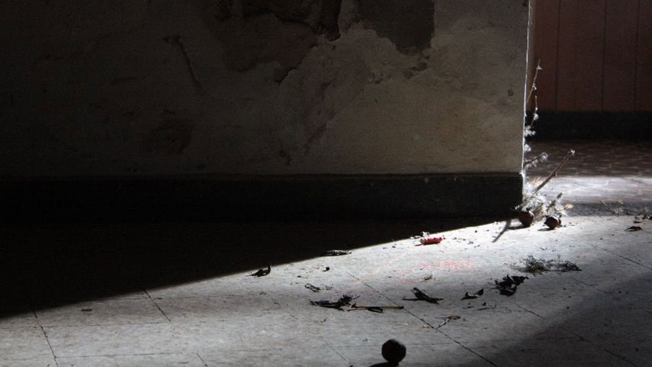 Backdrop for La casa