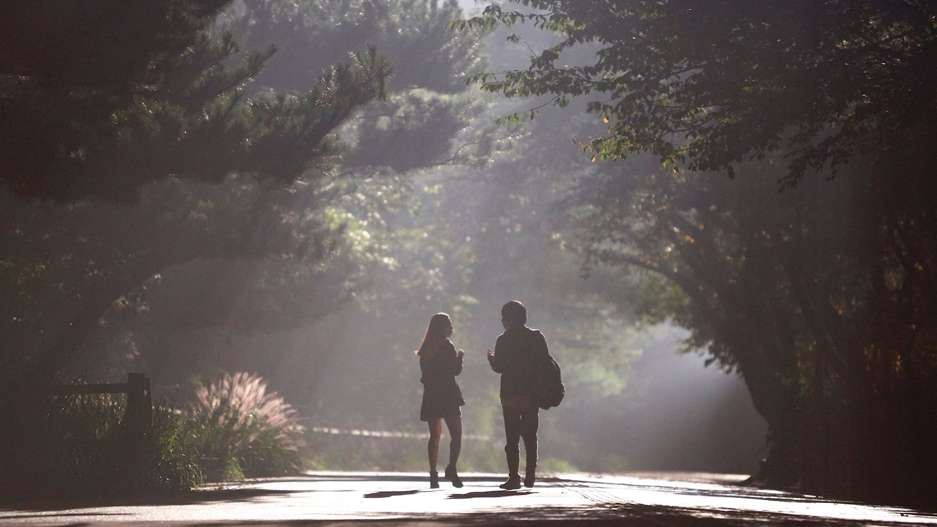 Backdrop for Worst Woman