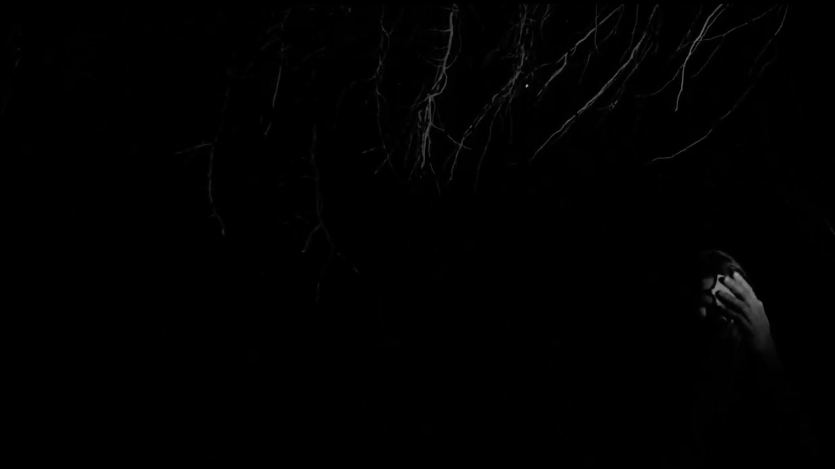 Backdrop for Kintsukuroi or where the trees are born