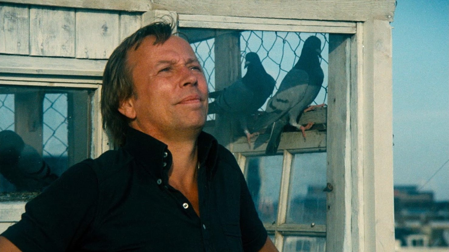 Backdrop for Naked Over the Fence