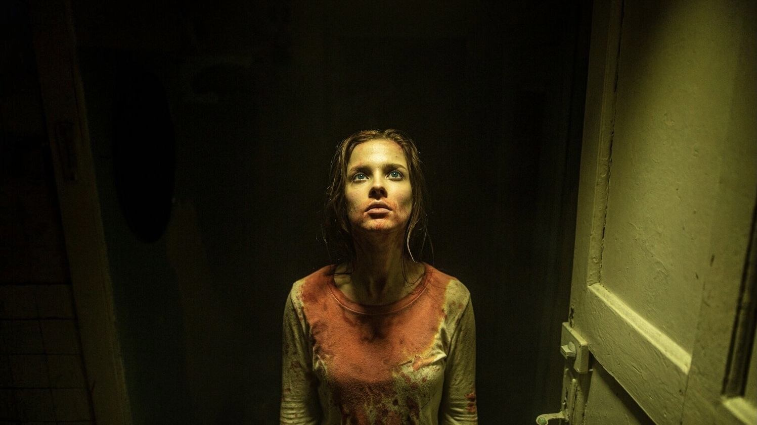 Backdrop for Sleepless Beauty