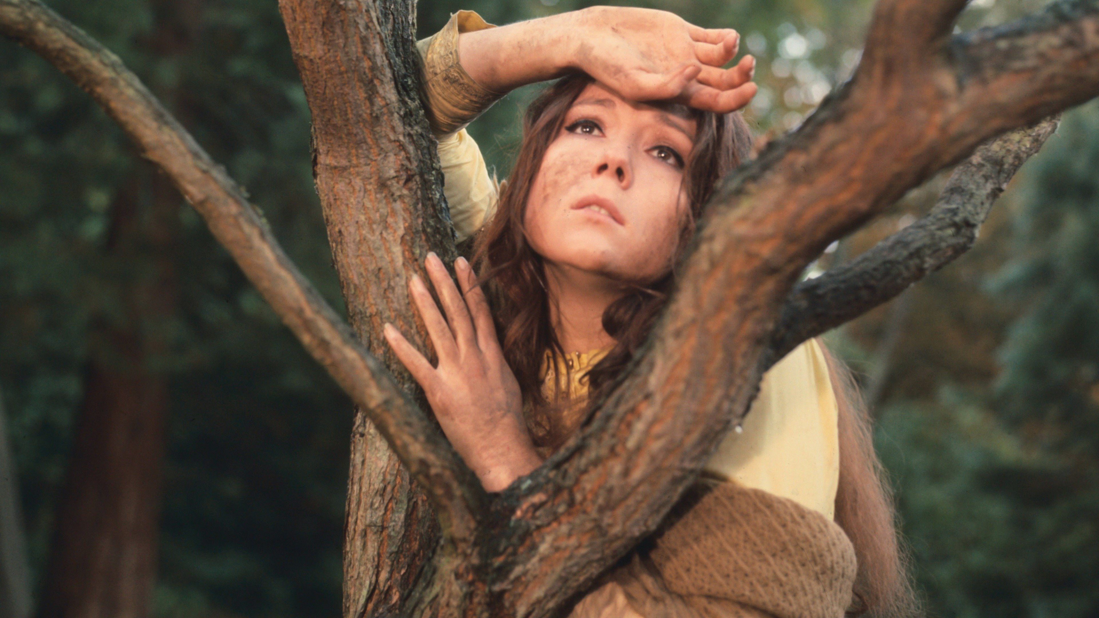 Backdrop for A Midsummer Night's Dream