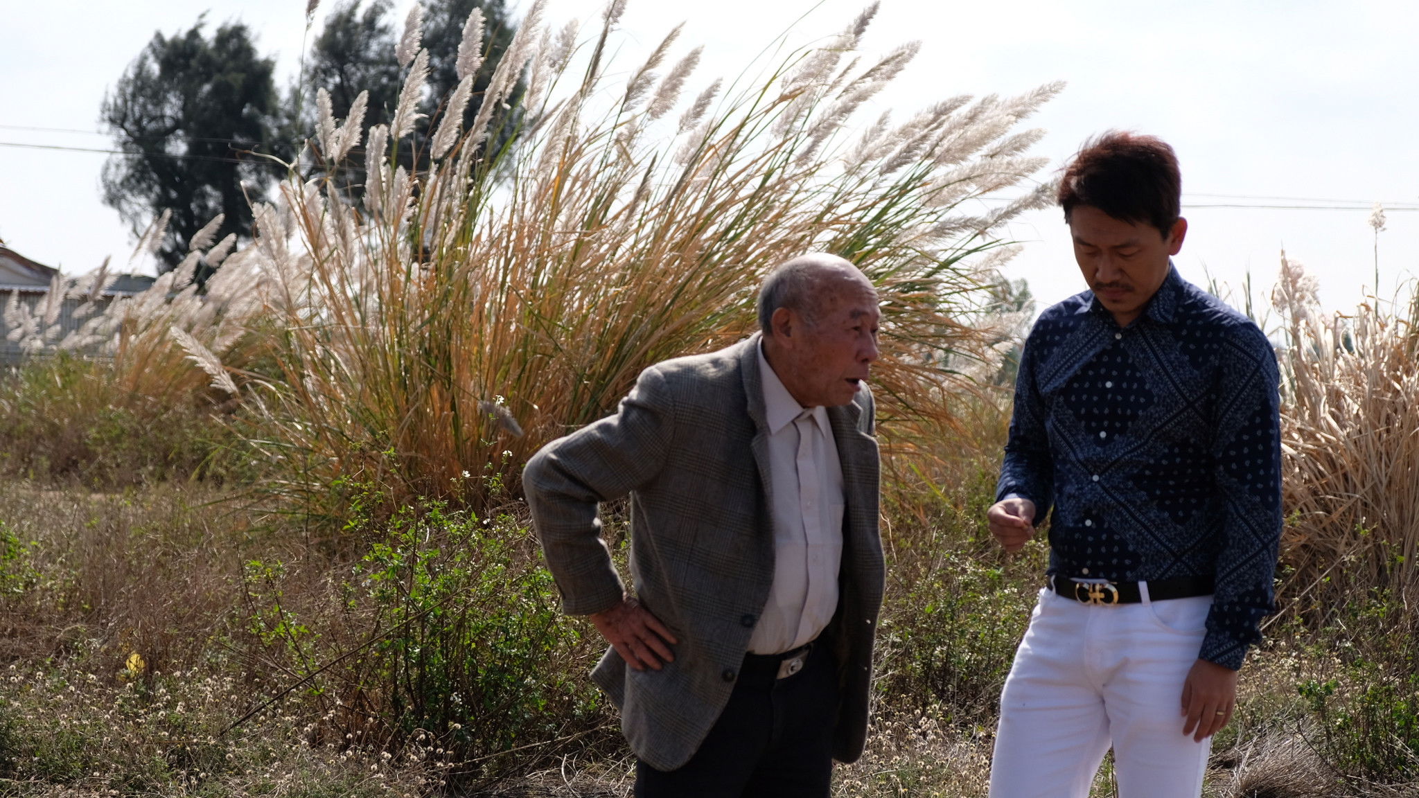 Backdrop for The Hongkongers