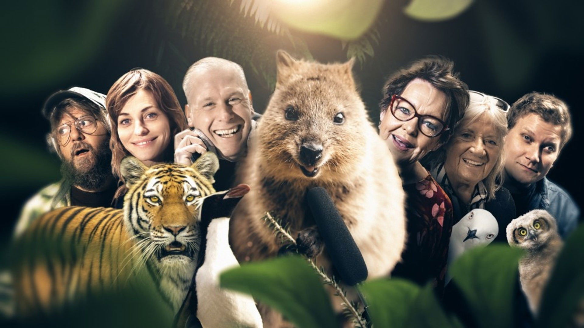 Backdrop for Vilde stemmer