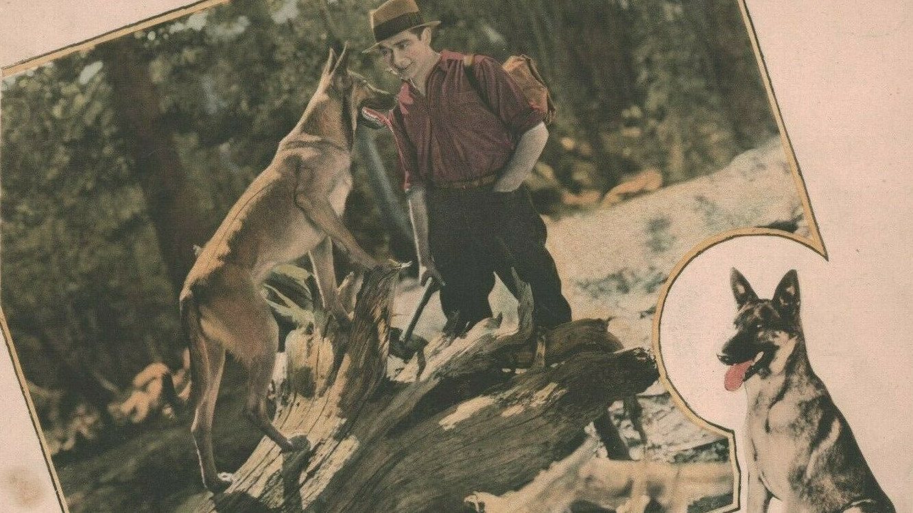 Backdrop for Flaming Fury