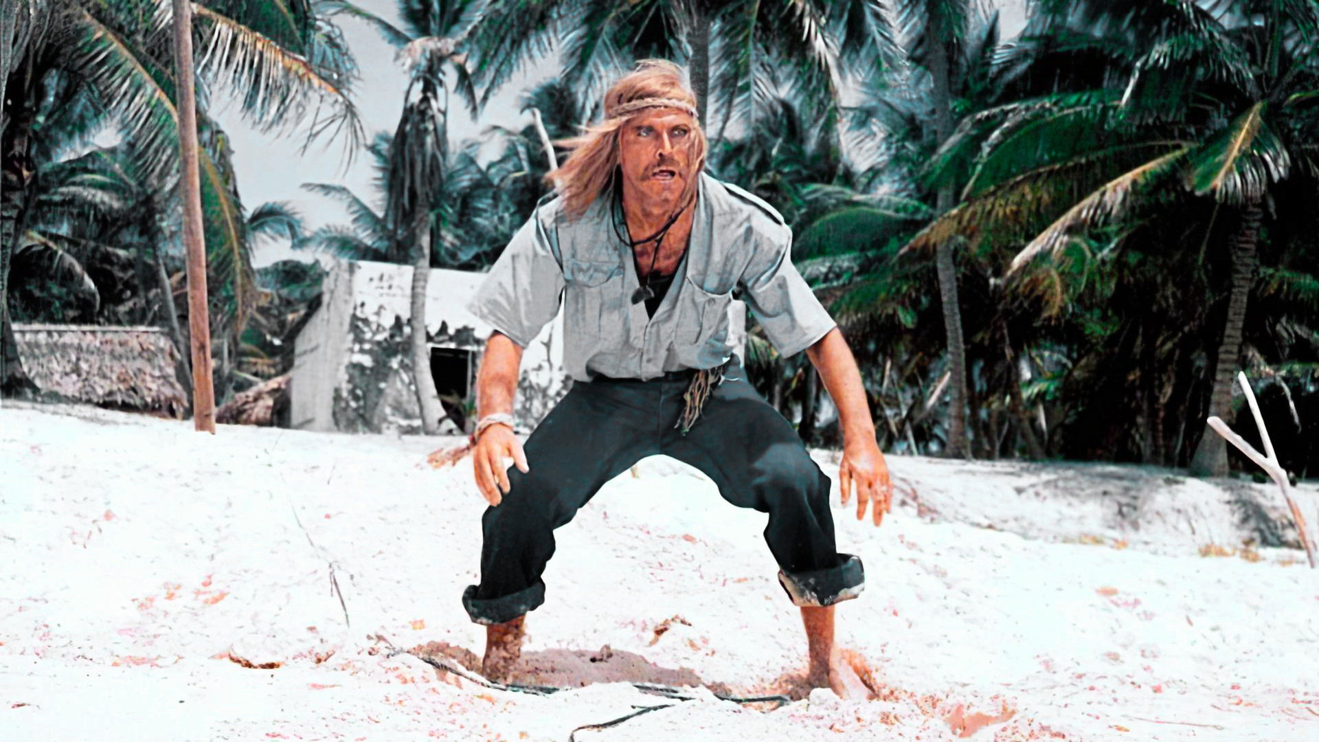 Backdrop for The Shark Hunter