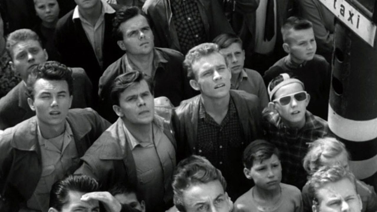 Backdrop for Puppies