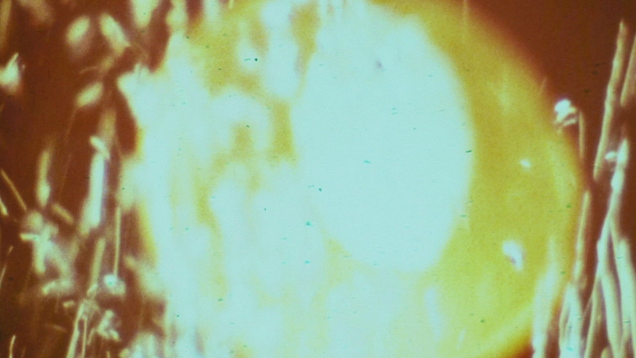 Backdrop for Essential