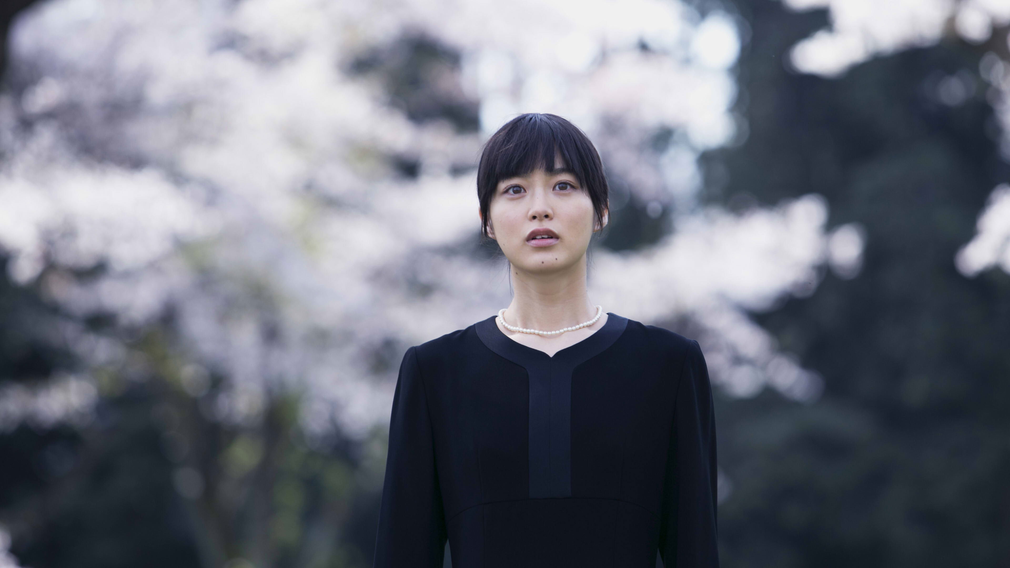 Backdrop for Summer Blooms