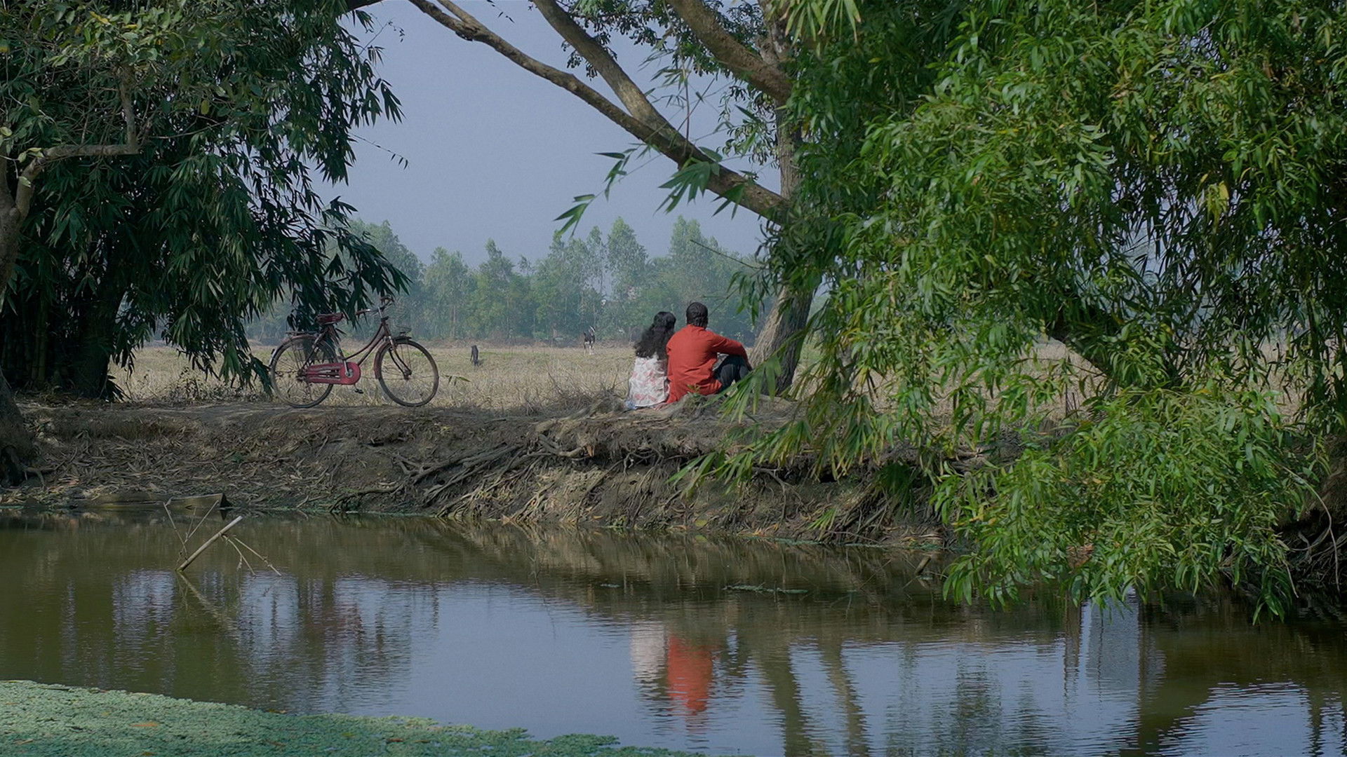 Backdrop for Aparthiba