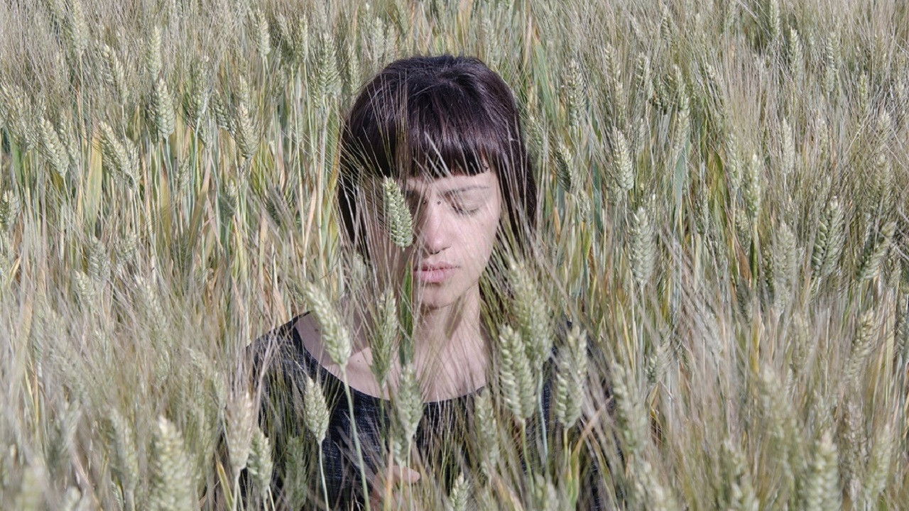 Backdrop for Three-Step Dance