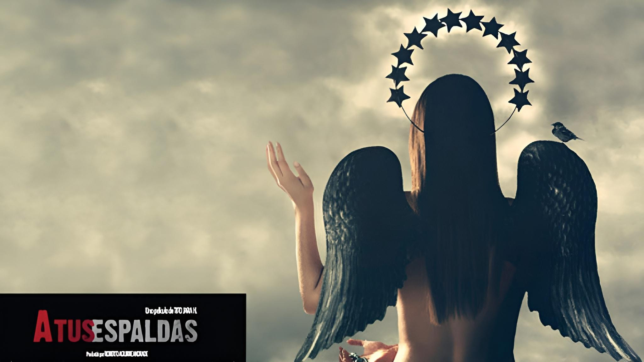 Backdrop for Behind Your Back