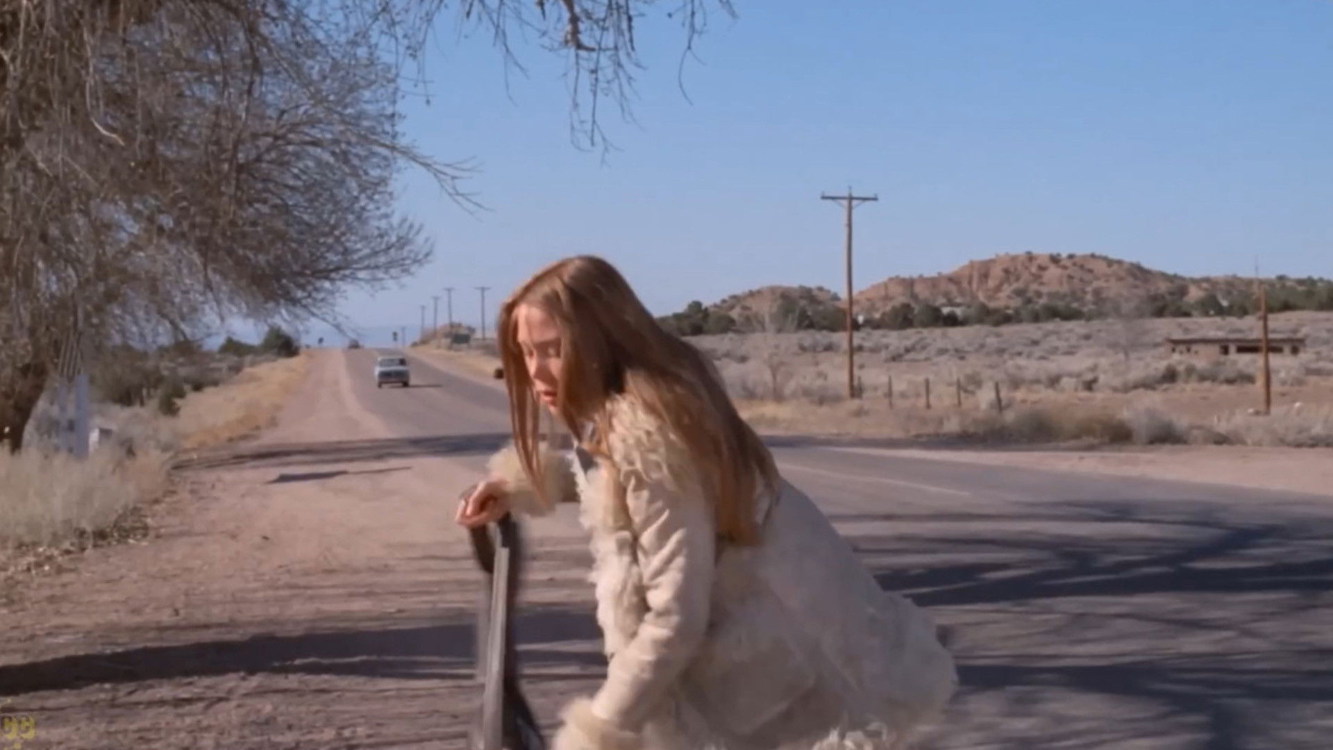 Backdrop for Ginger in the Morning