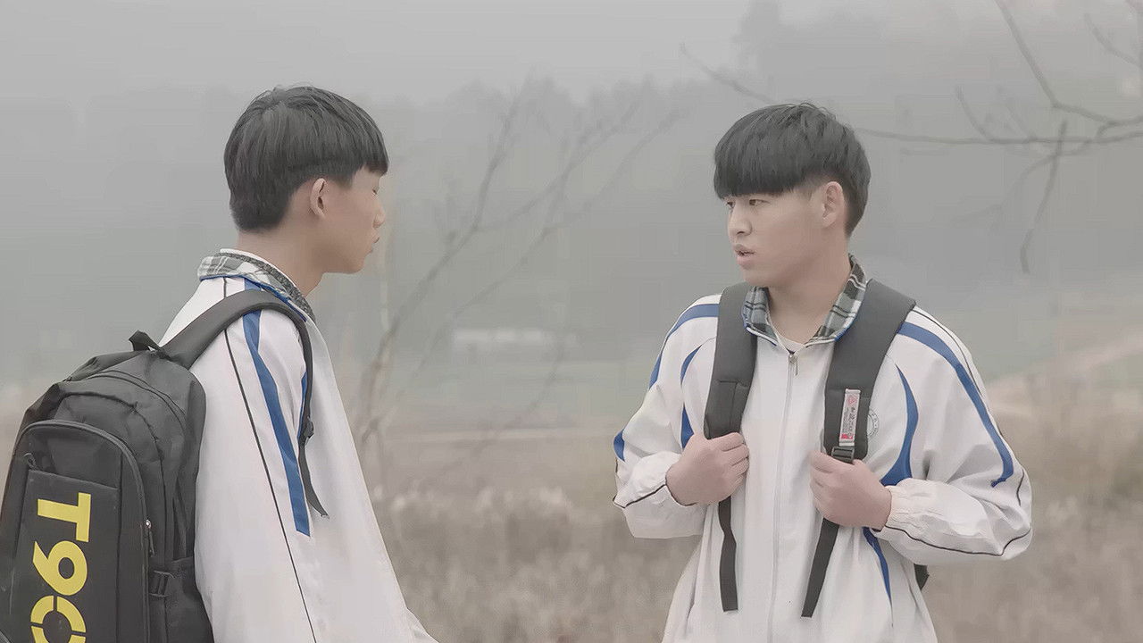 Backdrop for Hazy Youth