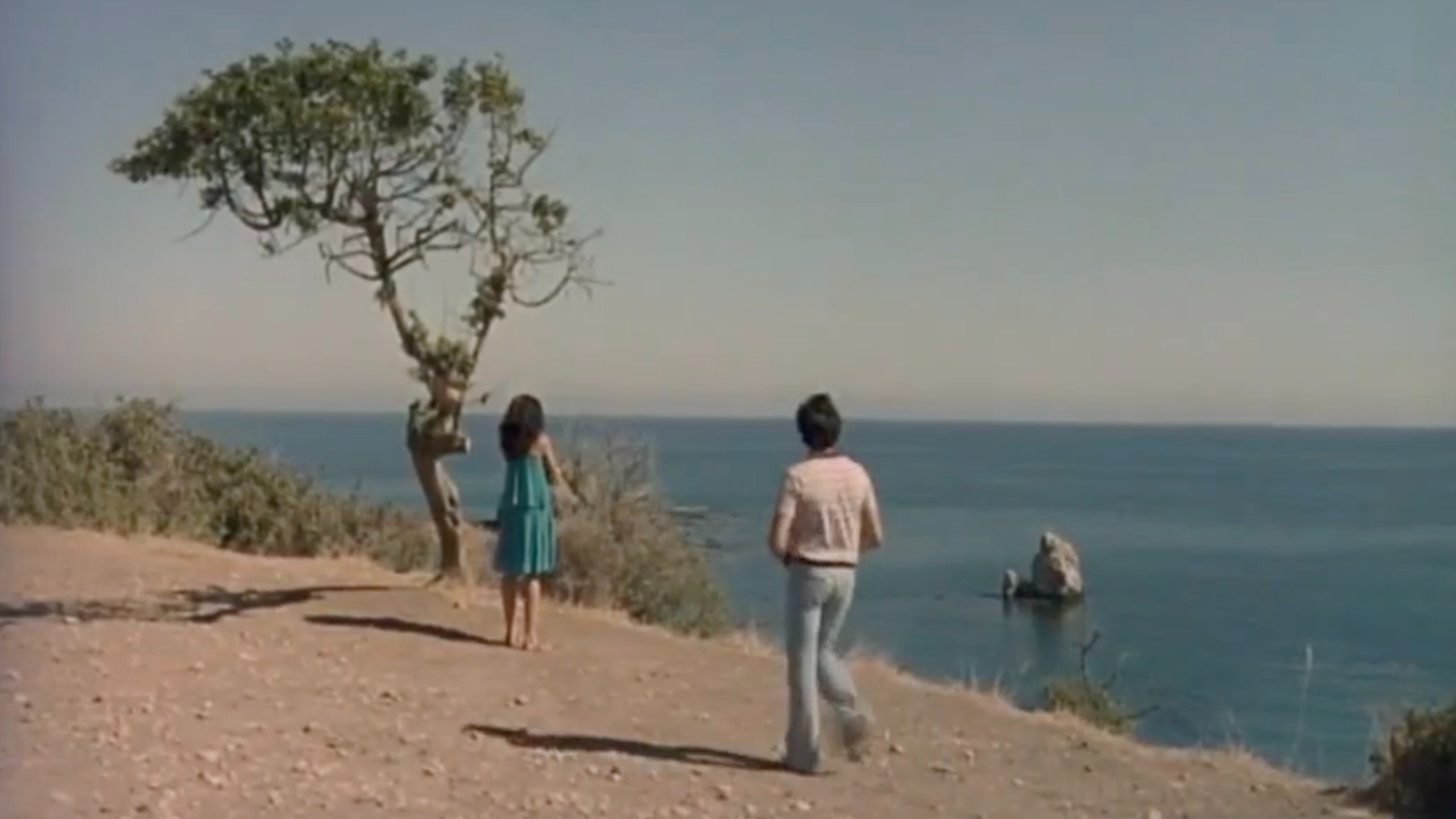 Backdrop for The Last Homecoming