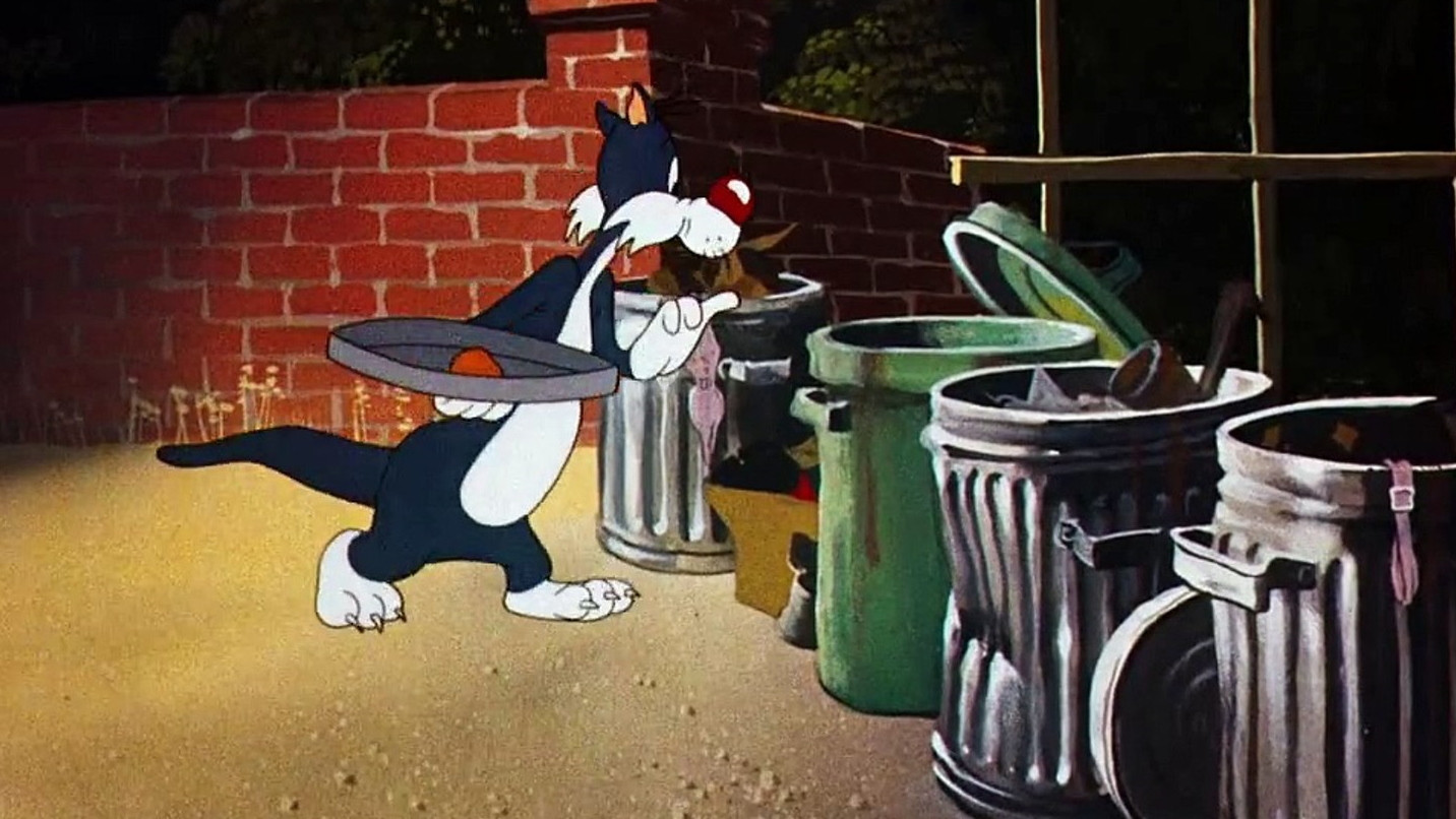 Backdrop for Life with Feathers