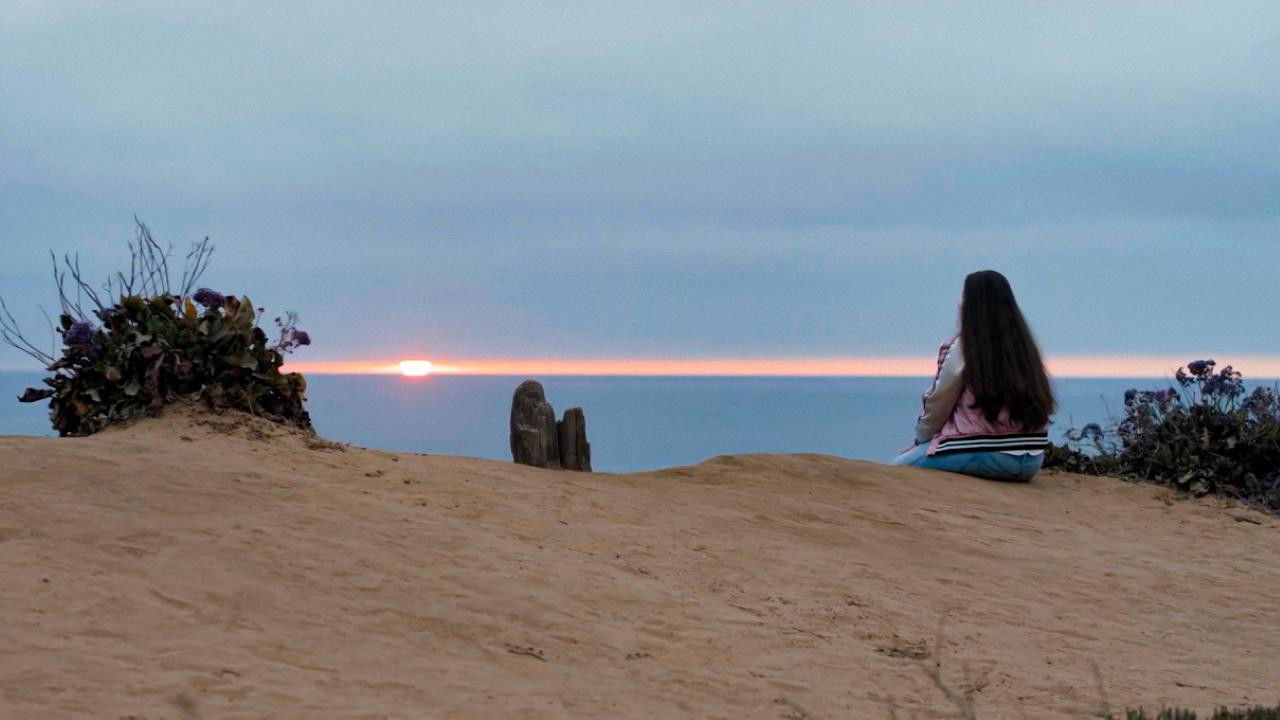 Backdrop for The Truth About Lying