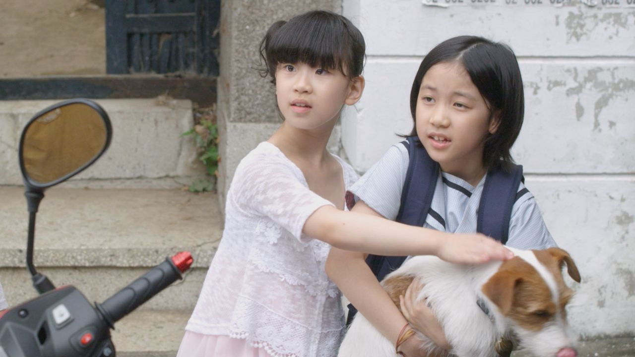 Backdrop for How to Steal a Dog