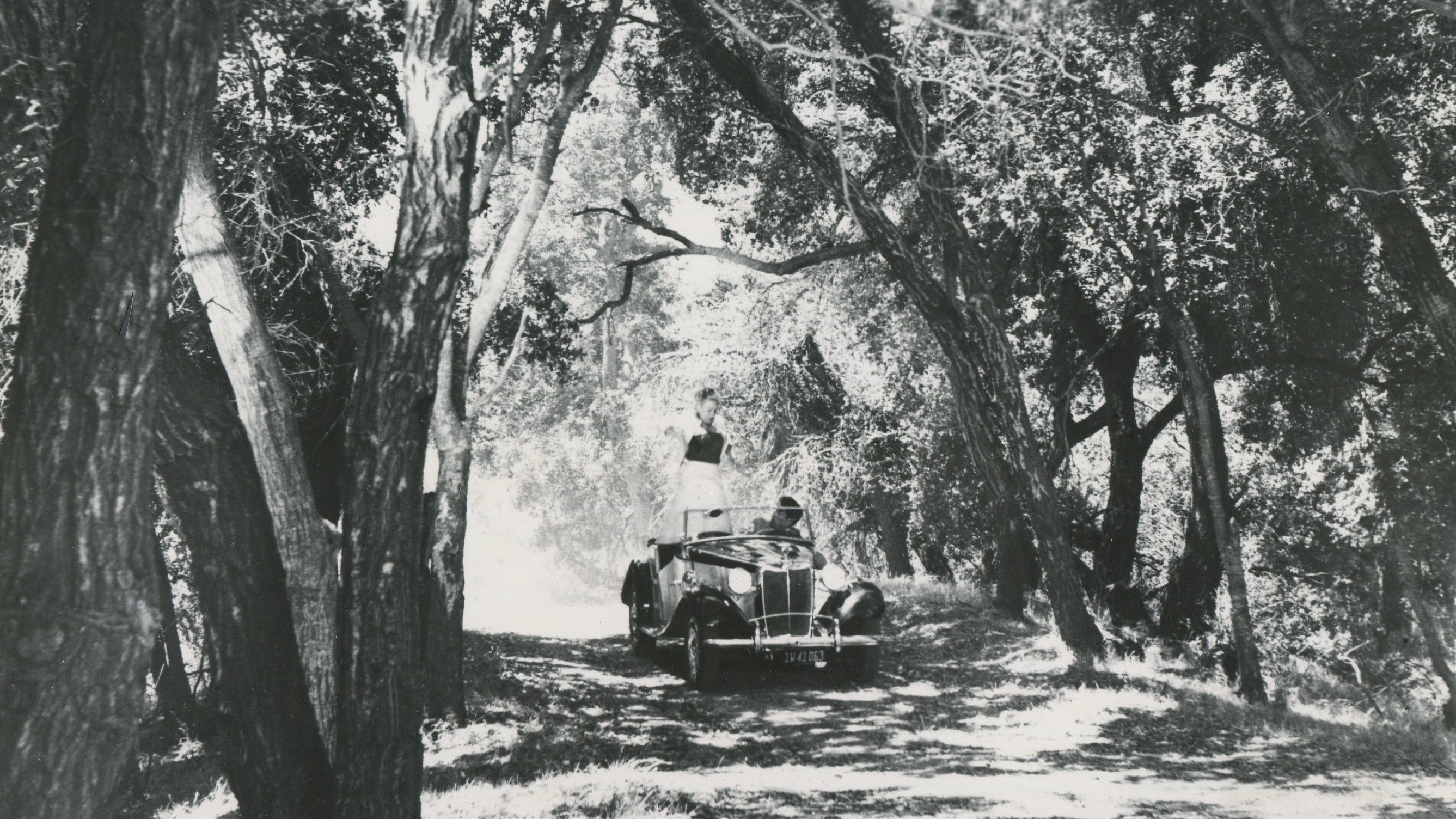 Backdrop for Marry Me Again