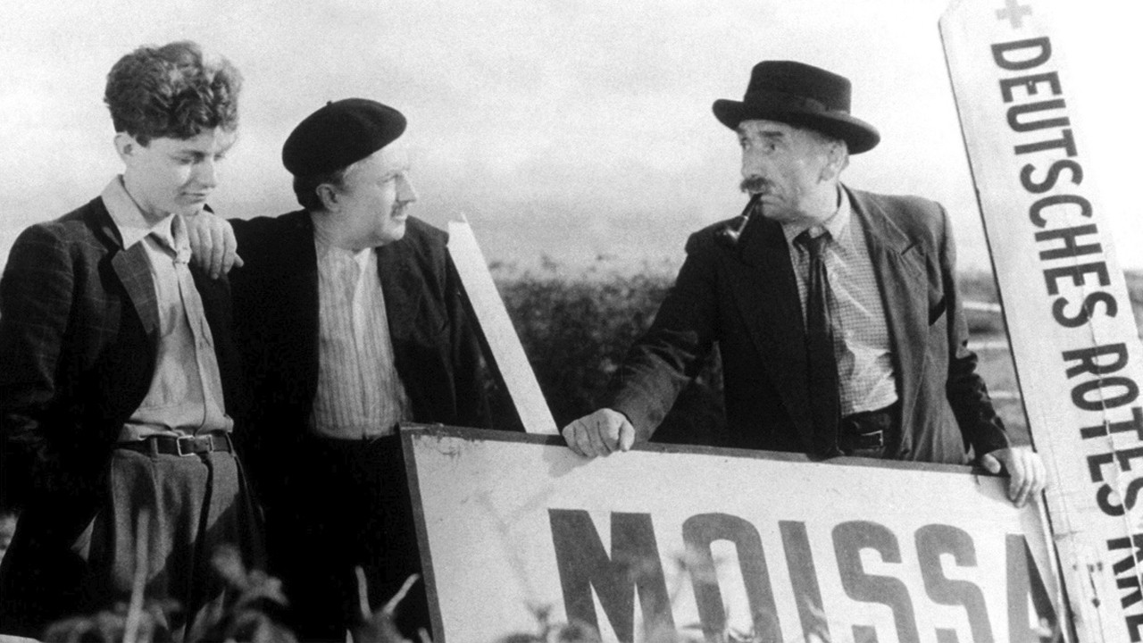 Backdrop for Mr. Orchid