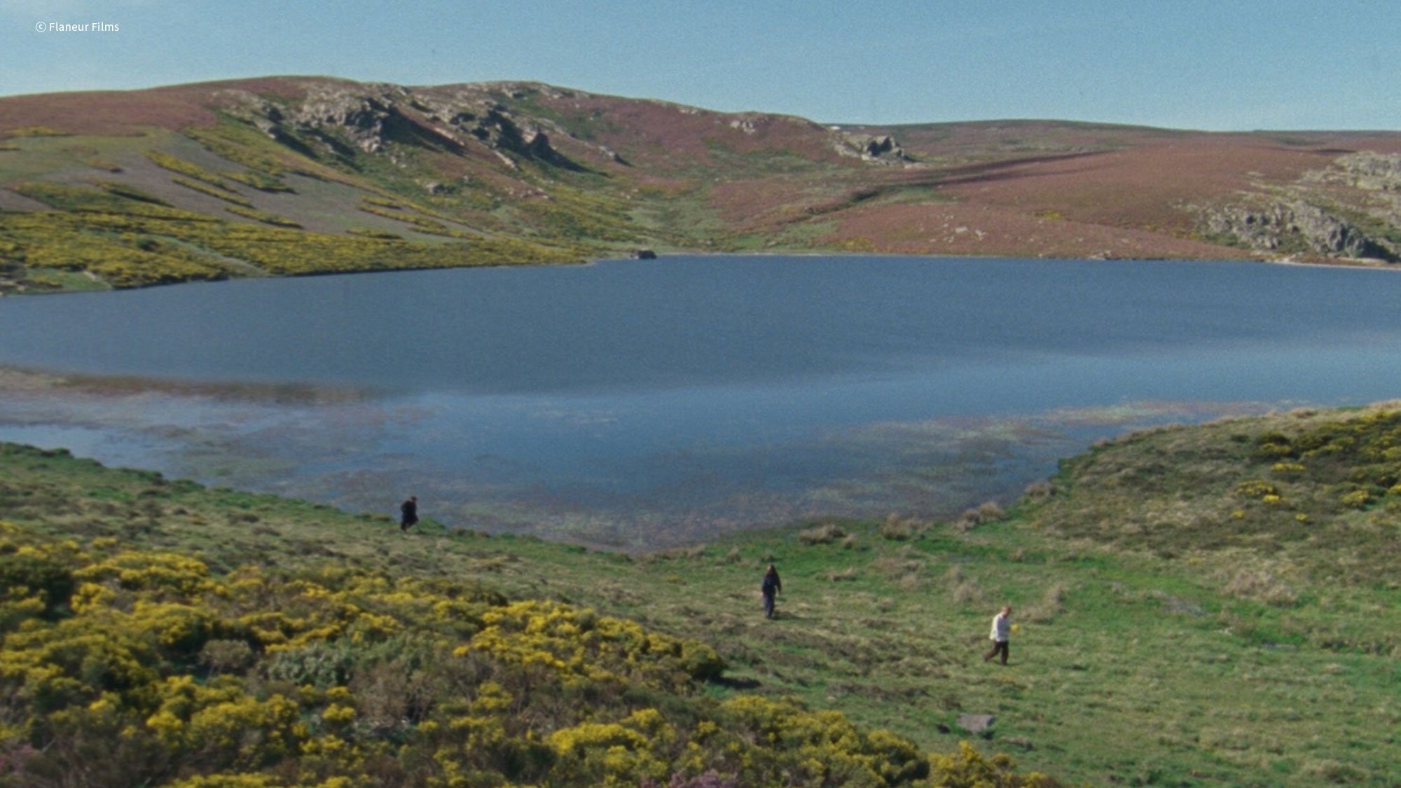 Backdrop for Afterwater