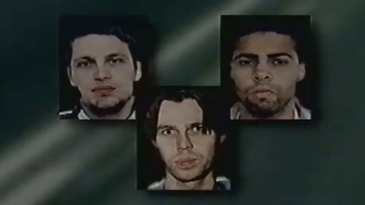 Backdrop for Murder in Malexander