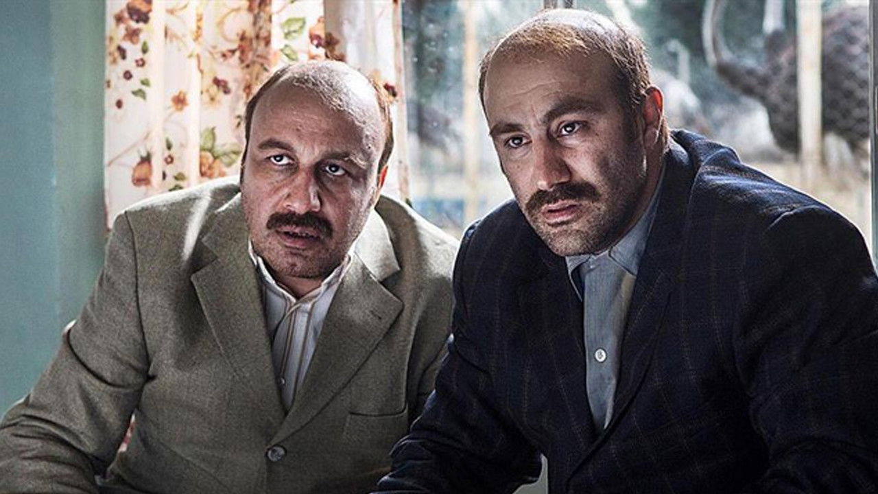 Backdrop for Guinness