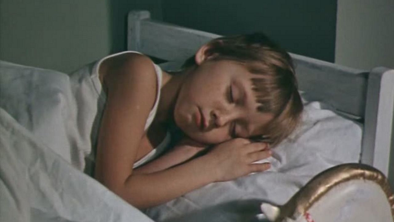 Backdrop for How We Were Searching for Tishka