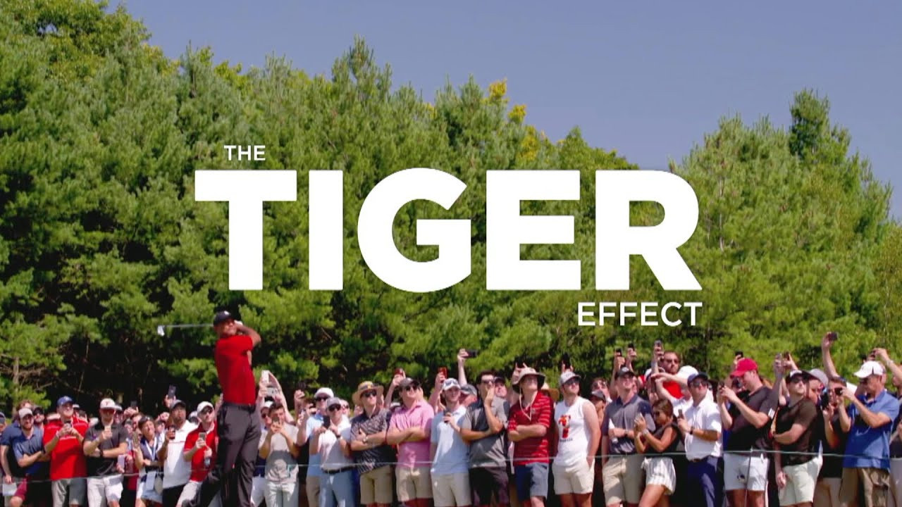 Backdrop for The Tiger Effect