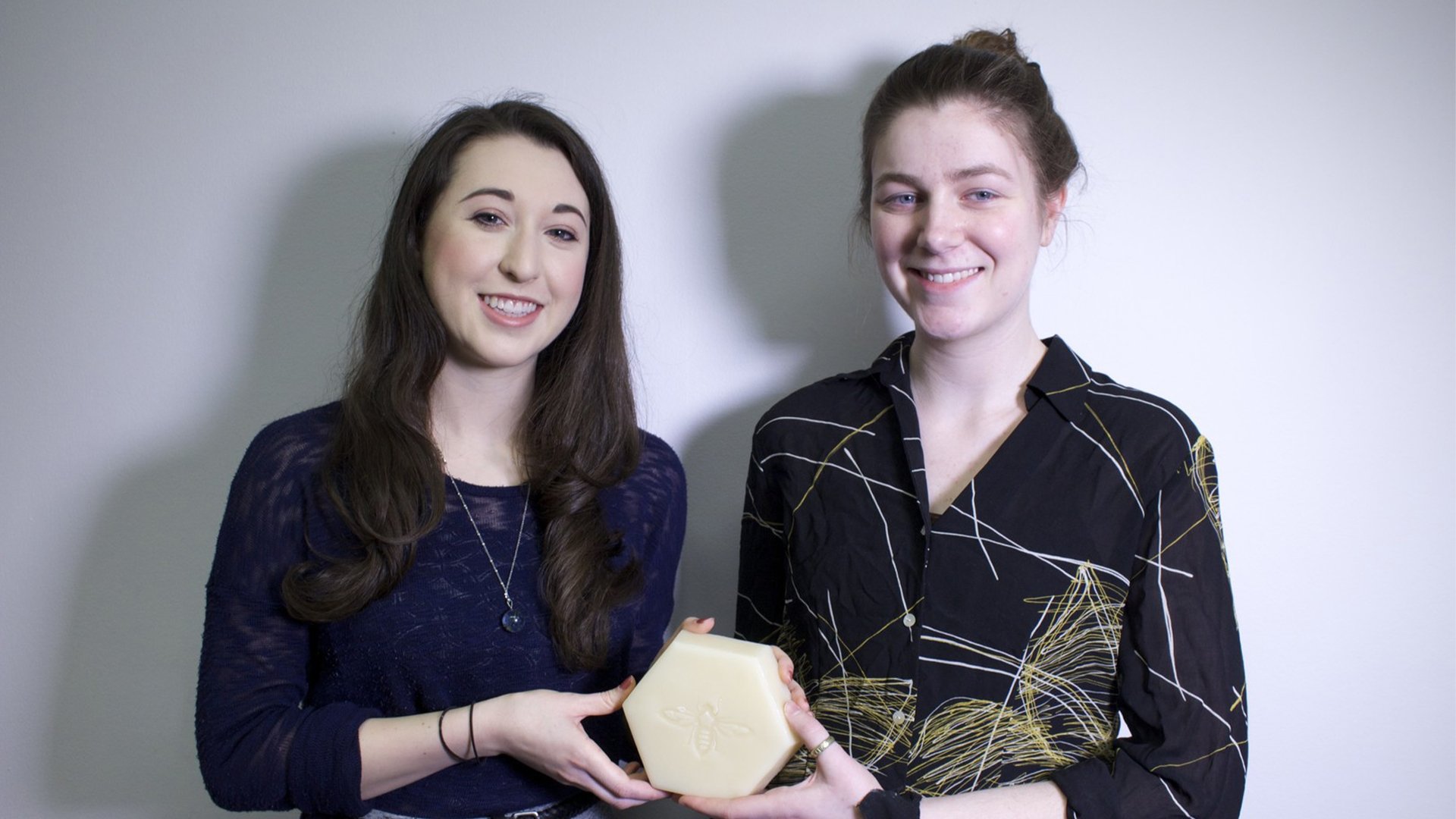 Backdrop for FIT Hives: Sustainability - The Secret to Survival