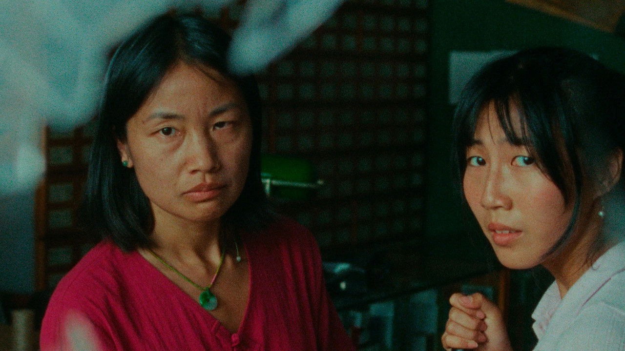 Backdrop for Roots That Reach Toward The Sky