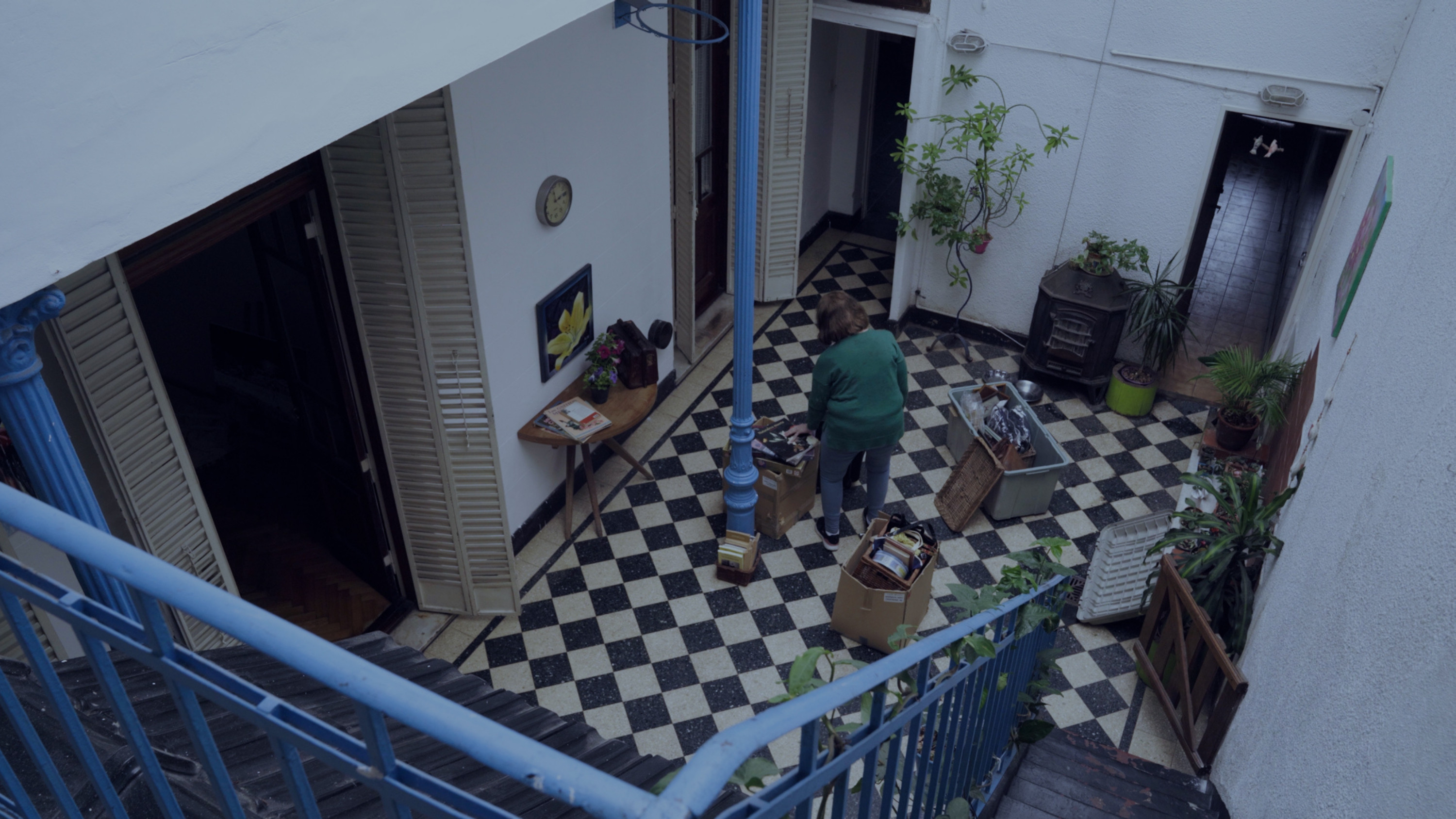 Backdrop for Matilde