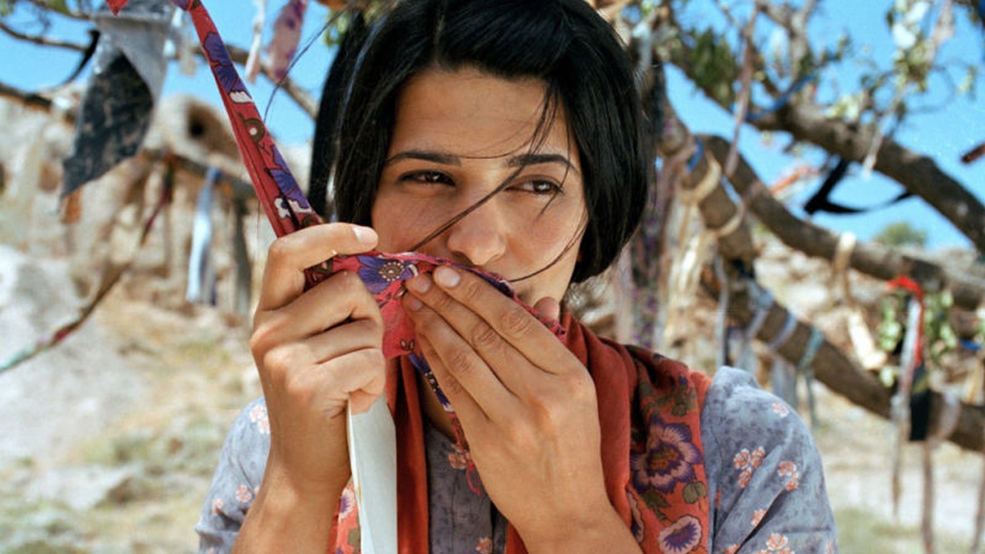 Backdrop for Zeit der Wünsche