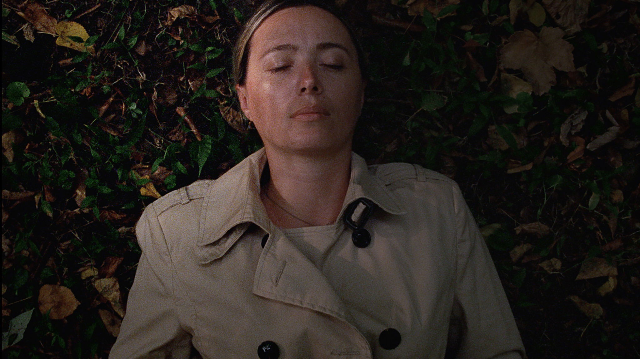 Backdrop for Beginning