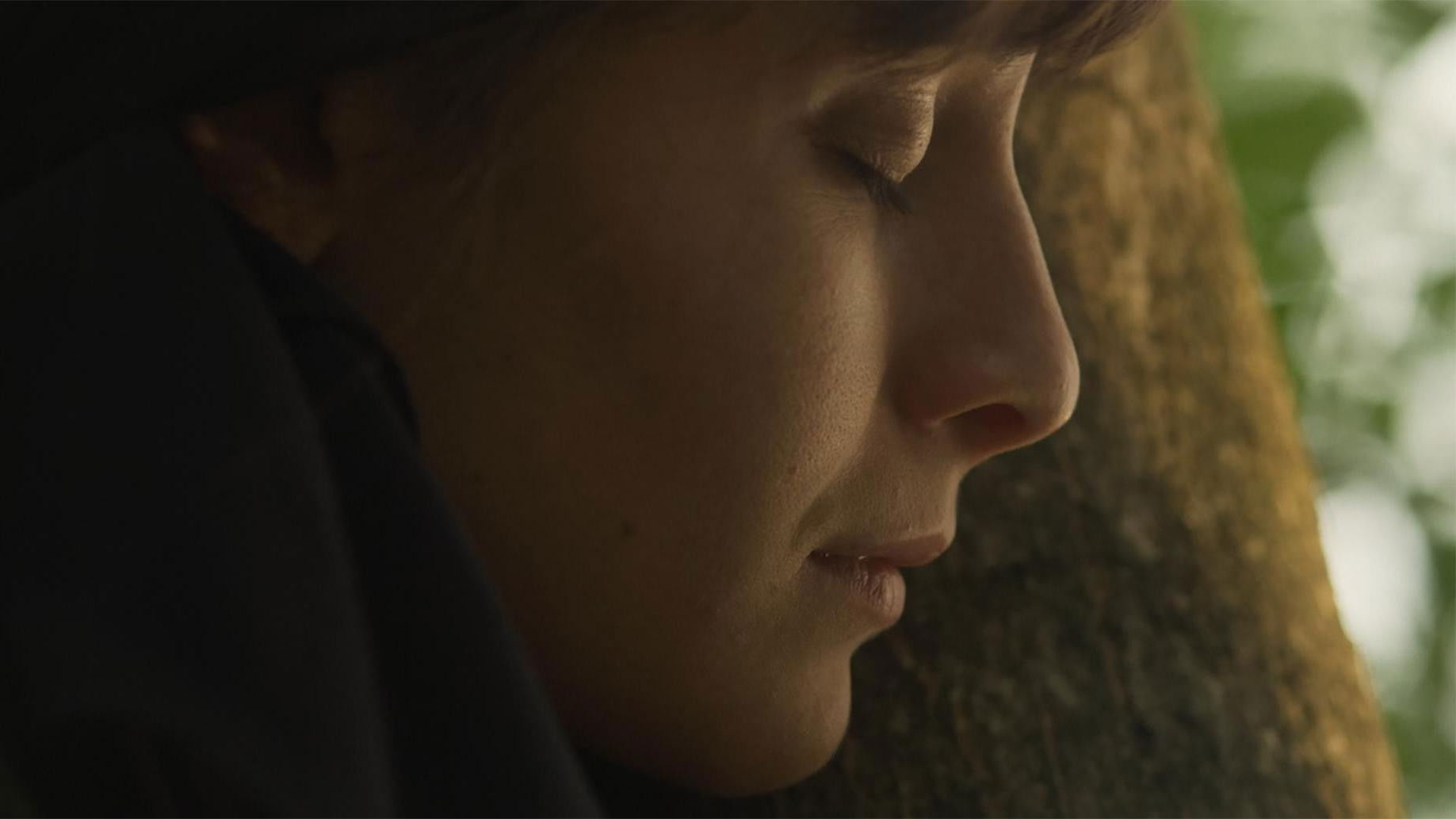 Backdrop for Nothing Really Happened