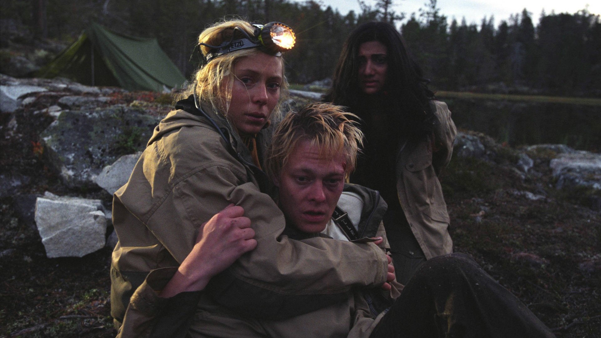 Backdrop for Dark Woods