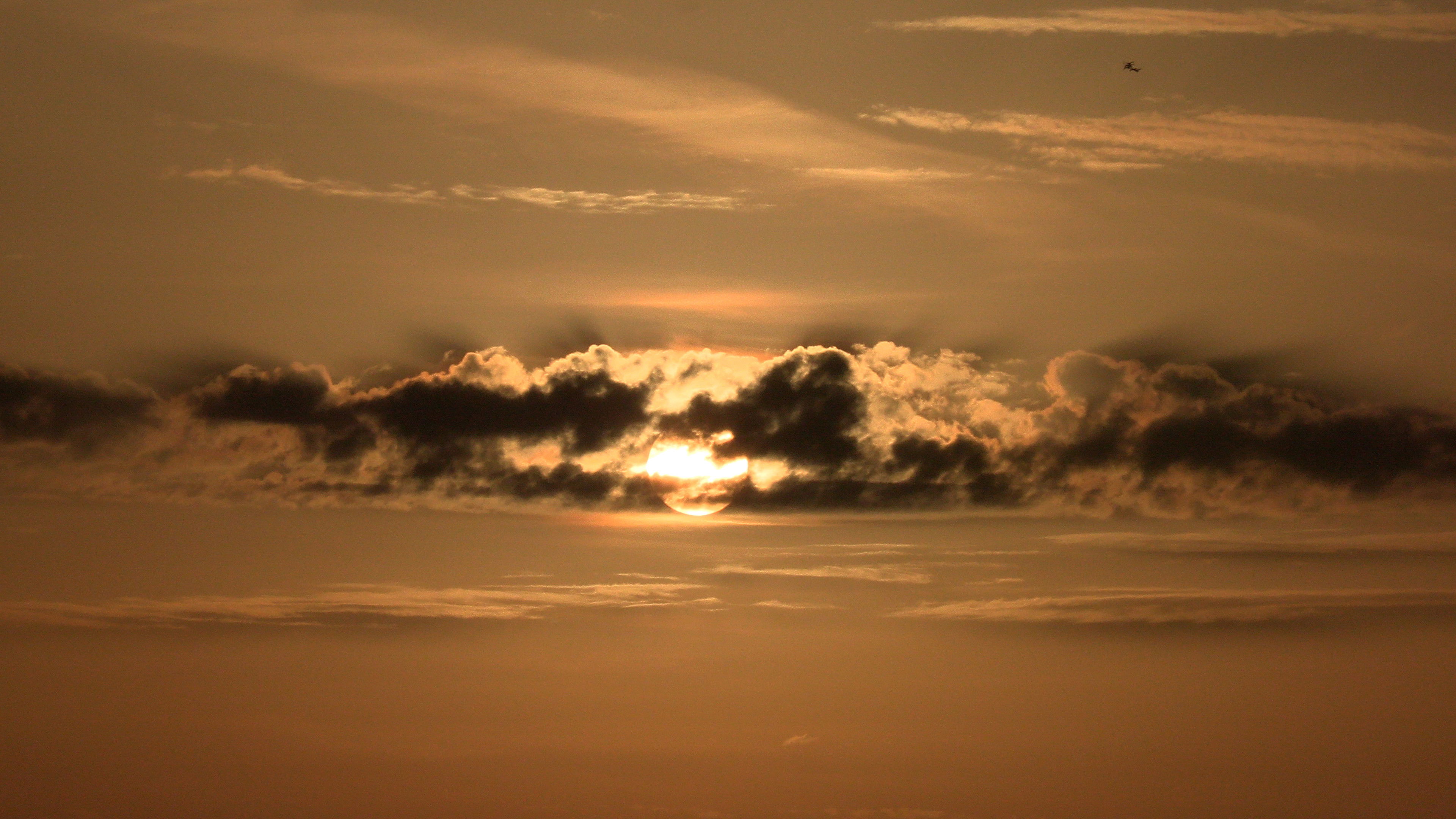 Backdrop for The Day: The Movie