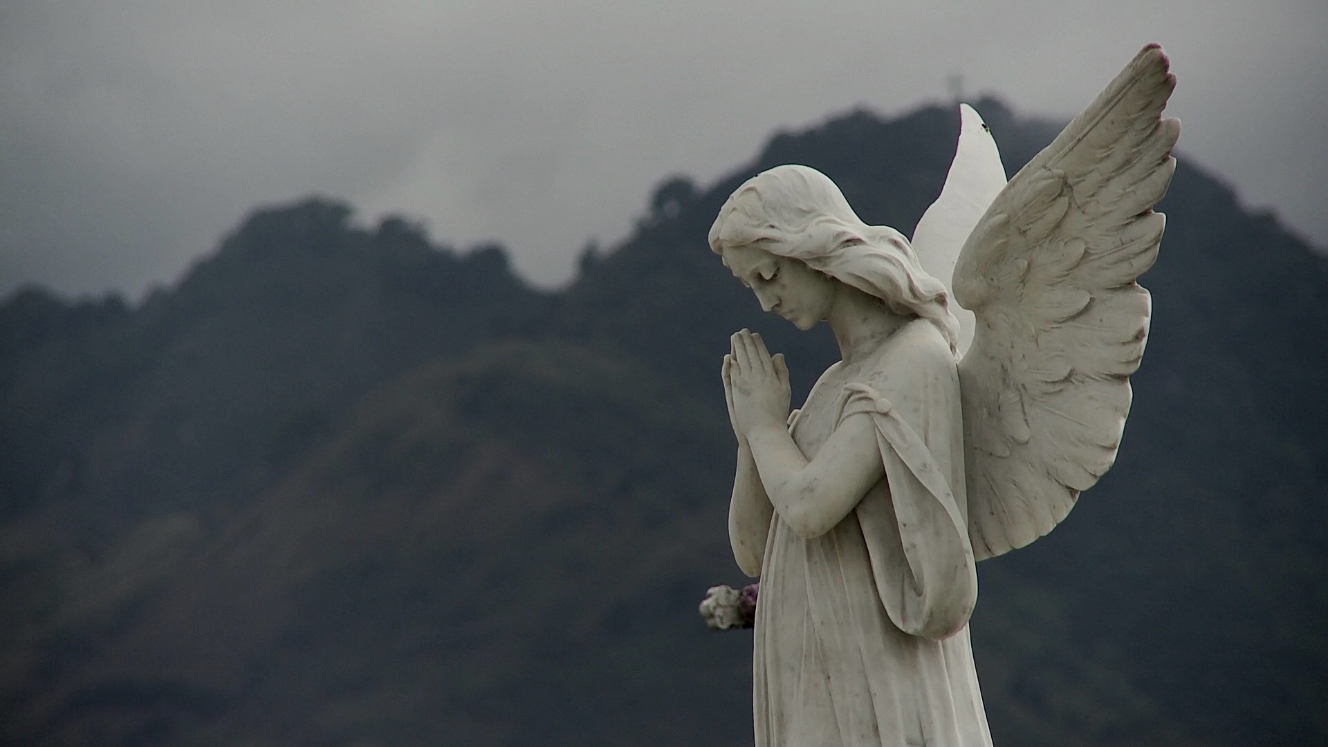 Backdrop for Losing Our Religion