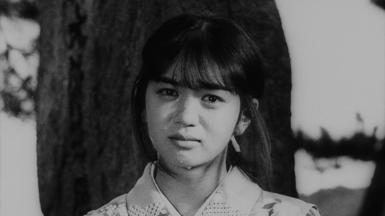 Backdrop for Bound for the Fields, the Mountains, and the Seacoast