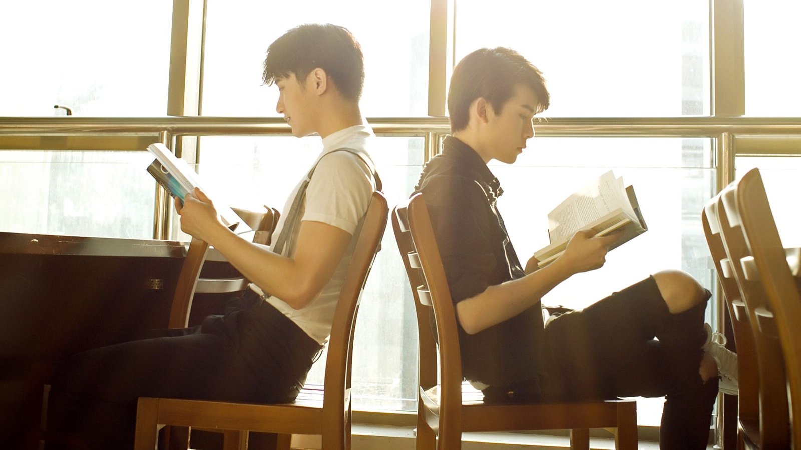 Backdrop for The Fairy Fox