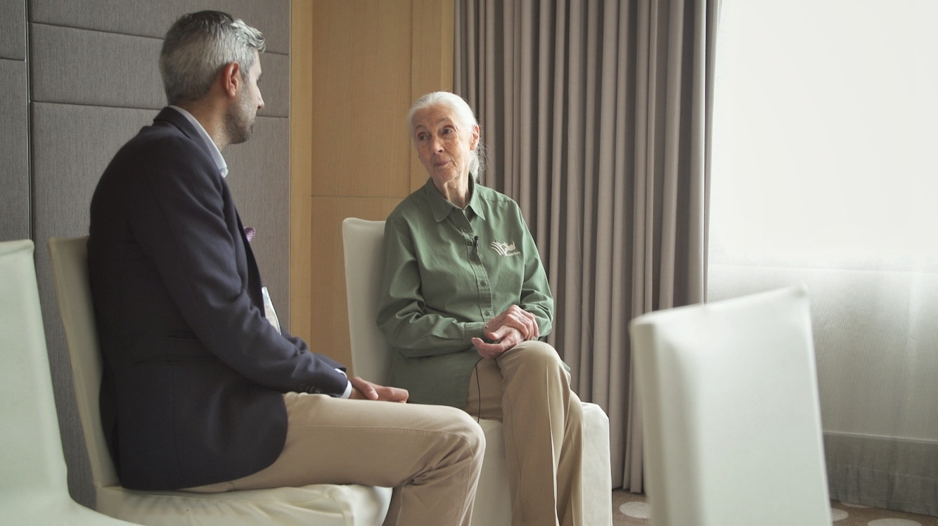 Backdrop for Planet Without Apes